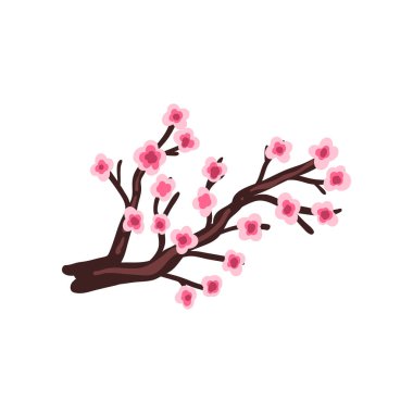 Sakura kiraz dal çiçek açan çiçekler vektör çizim beyaz bir arka plan üzerinde ile