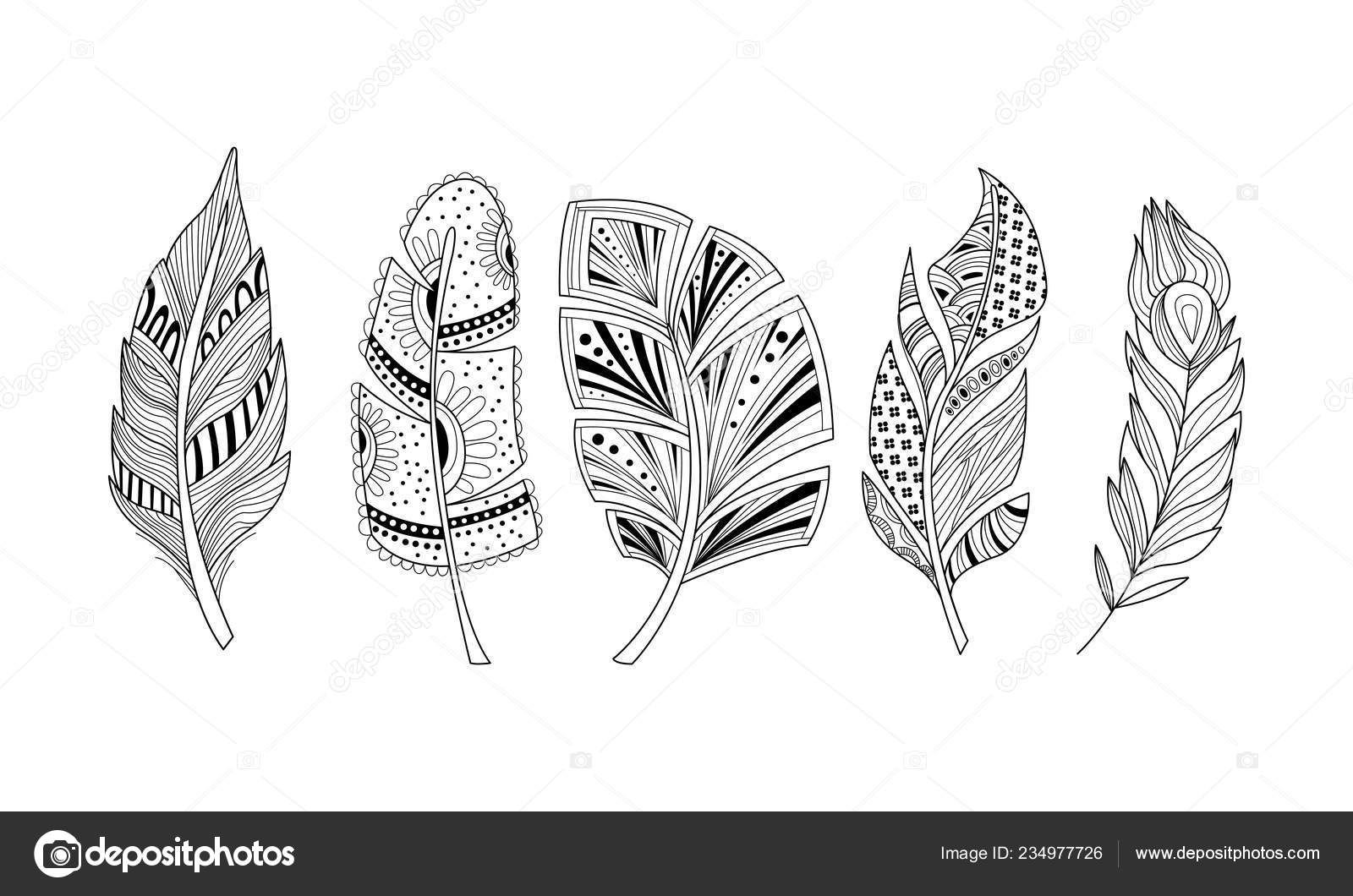 Stylized feathers set, black and white tribal, artistically