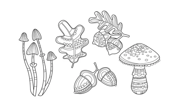 Colección de plantas dibujadas a mano, hojas monocromas, setas, avellanas y bellotas vector Ilustración — Vector de stock