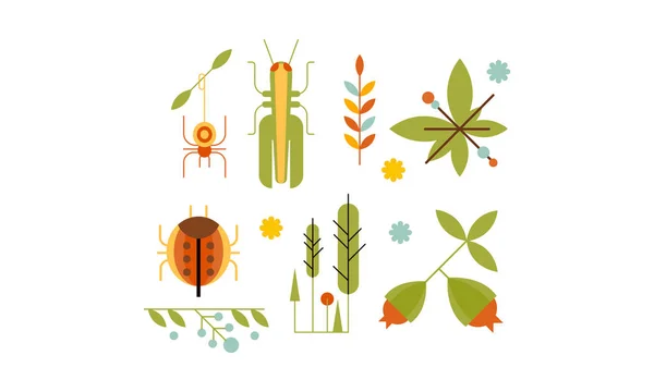 Collection of insects and plants, nature and ecology design elements vector Illustration — Stock Vector