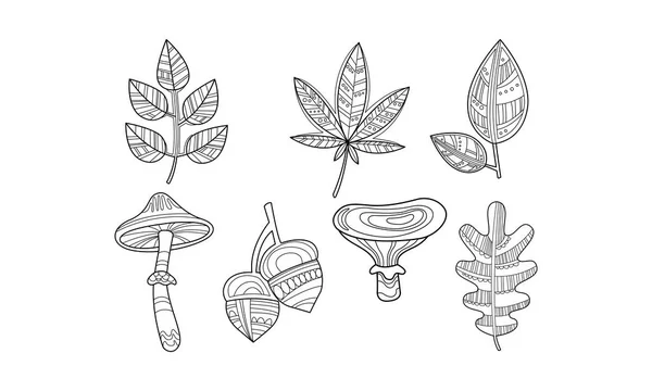 Коллекция рисованных вручную растений, листьев, монохромных грибов и желудей — стоковый вектор