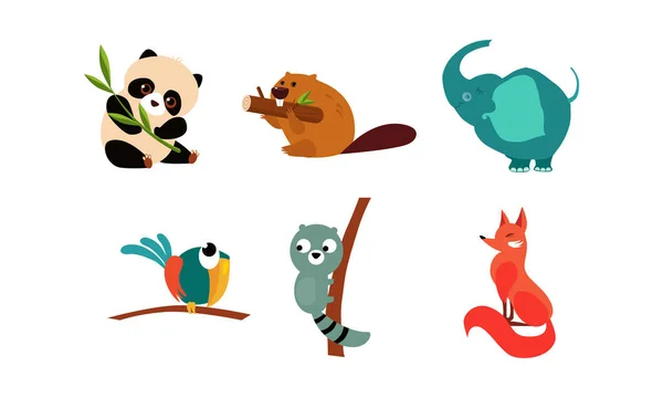 Συλλογή από χαριτωμένα ζώα, panda bear, Κάστορας, παπαγάλος, ρακούν, αλεπού διανυσματικά εικονογράφηση σε λευκό φόντο — Διανυσματικό Αρχείο