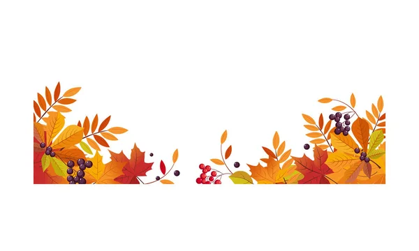 Φθινοπωρινό φόντο με χώρο για κείμενο, πανό με λαμπρό φθινόπωρο chokeberry, rowan, maple φύλλα και μούρα διανυσματικά εικονογράφηση — Διανυσματικό Αρχείο