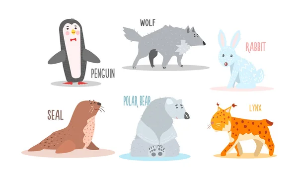 Raccolta di animali artici con nomi, pinguino, lupo, coniglio, foca, orso polare, lince vettore Illustrazione — Vettoriale Stock