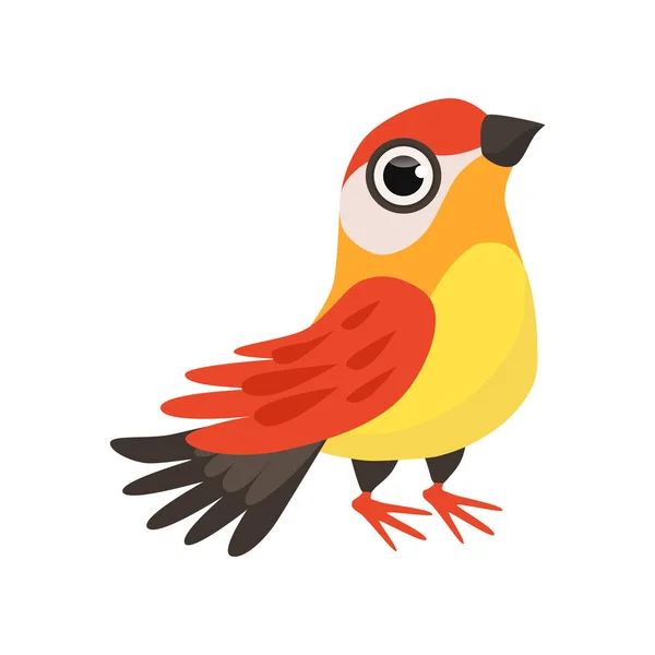 Kleurrijke mooie finch vogel vector illustratie op een witte achtergrond — Stockvector