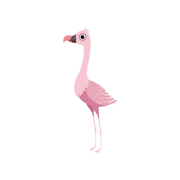 白地に美しいピンク フラミンゴ鳥ベクトル図 — ストックベクタ