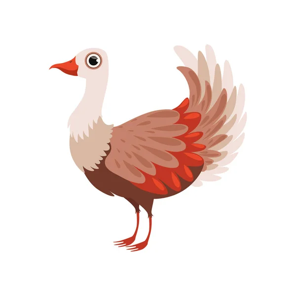 Mooie Vogel Vector Die Illustratie Geïsoleerd Een Witte Achtergrond — Stockvector