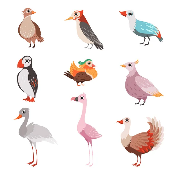 Collection of beautiful birds, flamingo, puffin, waxwing, cardinal, bright, crane vector Illustration — Stock Vector