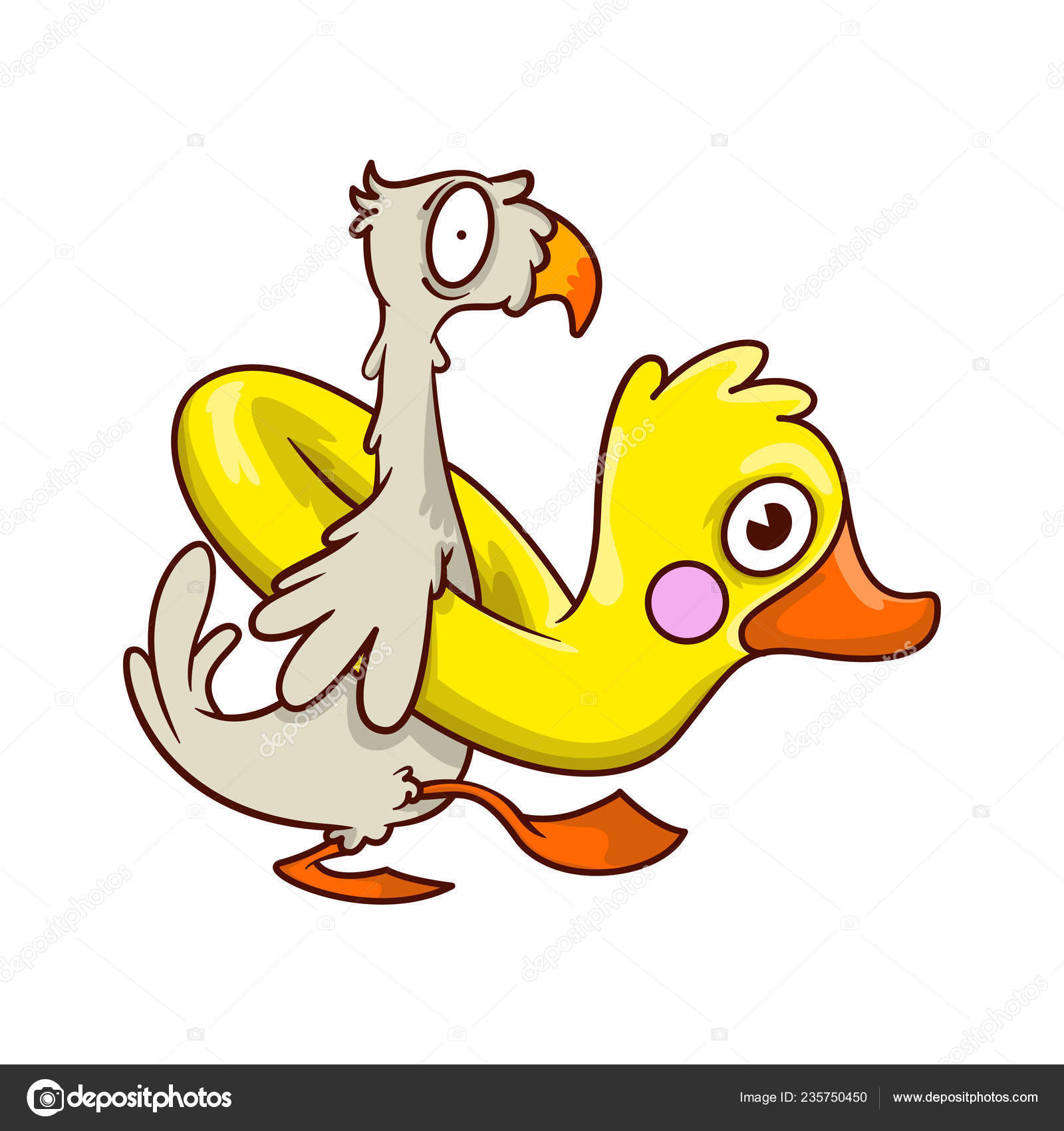 Drôle Oiseau Tropical Avec Caoutchouc Gonflable En Forme De