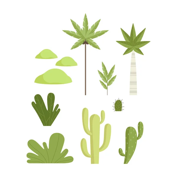 Комплект тропических и пустынных ботанических растений, элементы ландшафтного дизайна векторные иллюстрации — стоковый вектор