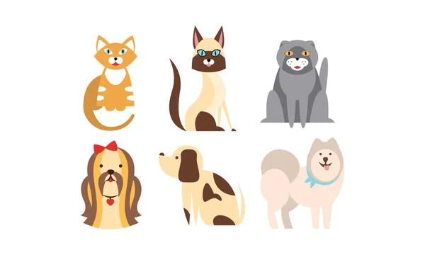 Gatos e cães de diferentes raças set, animais de estimação bonitos, animais domésticos, melhores amigos vetor Ilustração — Vetor de Stock