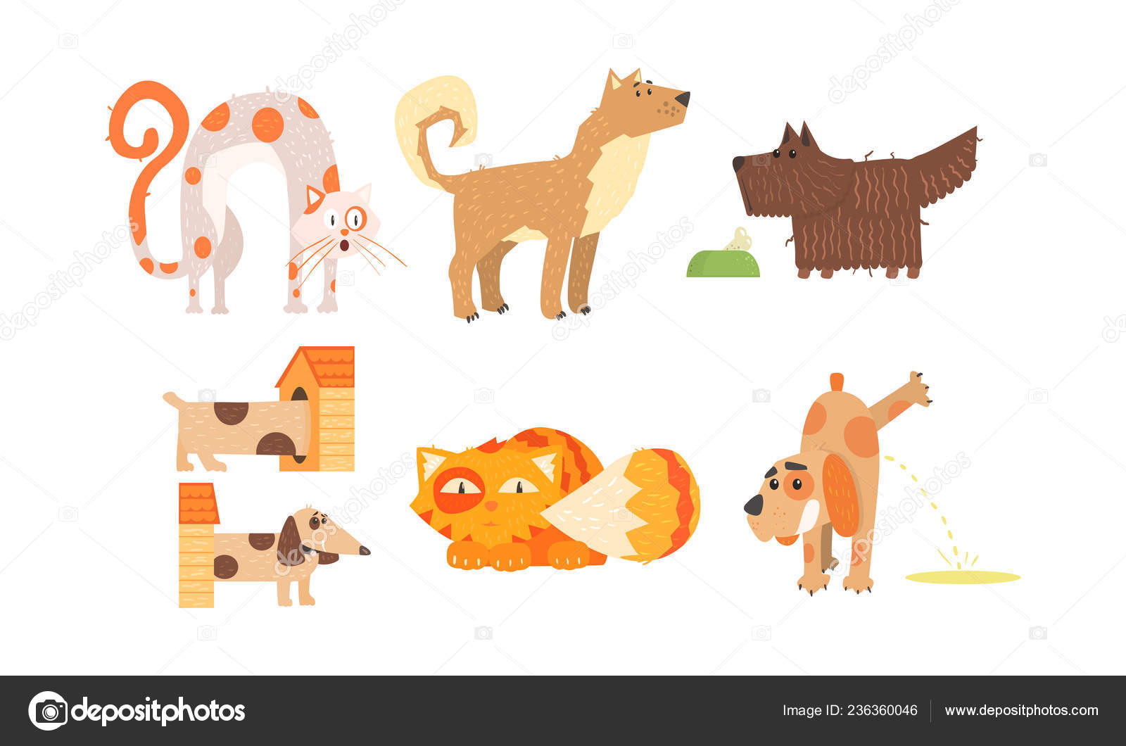 Lustige Katzen Und Hunde Verschiedener Rassen Niedlichen
