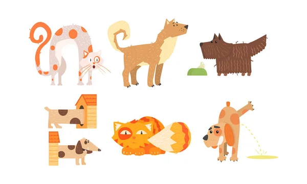 Chiens et chats drôles de races différentes, animaux mignons dans des situations différentes, meilleurs amis vecteur Illustration — Image vectorielle