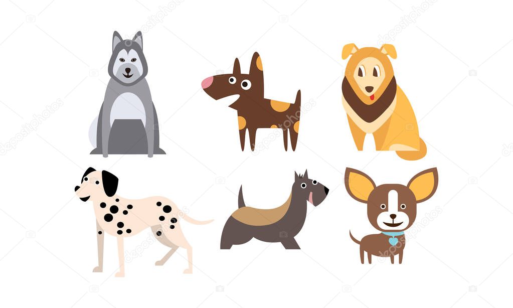 Dogs of different breeds set, cute pets, domestic animals, best friends vector Illustration
