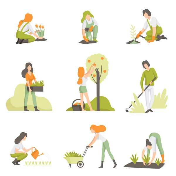 ガーデン セット、男性と女性の農産物の成長の植物の世話の人々 ベクトル イラスト — ストックベクタ