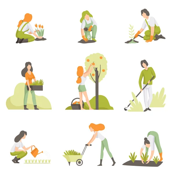 Gente cuidando plantas en el jardín, hombres y mujeres cultivando productos agrícolas vector Ilustración — Vector de stock