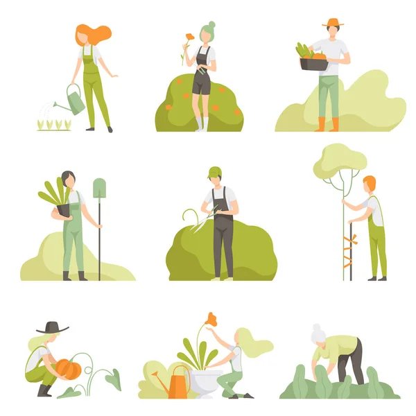 在花园中照料植物的人, 男人和女人, 浇灌植物, 种植农产品向量插图 — 图库矢量图片