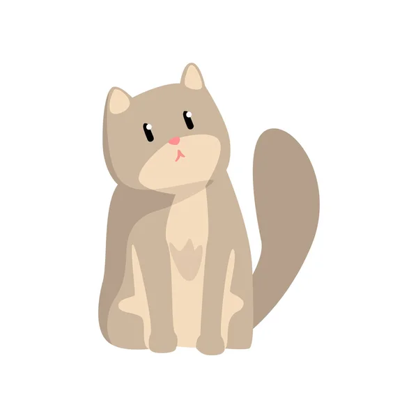 Şirin gri kedi, komik hayvan karakter, kürklü insan arkadaş vektör çizim — Stok Vektör