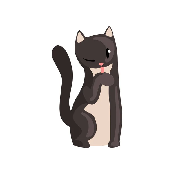 Aranyos fekete macska, vicces kisállat karakter, szőrös emberi friend vektoros illusztráció — Stock Vector