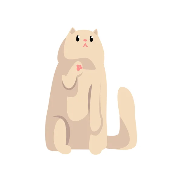 Lindo Gato Blanco Esponjoso Personaje Divertido Mascota Peludo Vector Amigo — Vector de stock