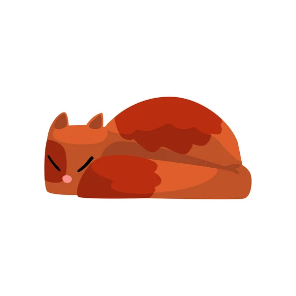 Sevimli kırmızı kedi uyku, komik hayvan karakter, kürklü insan arkadaş vektör çizim — Stok Vektör