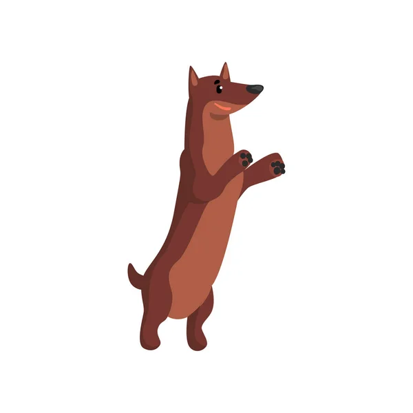 Jamnik pies, zabawny znak zwierzę, przyjaciel człowieka wektor ilustracja — Wektor stockowy