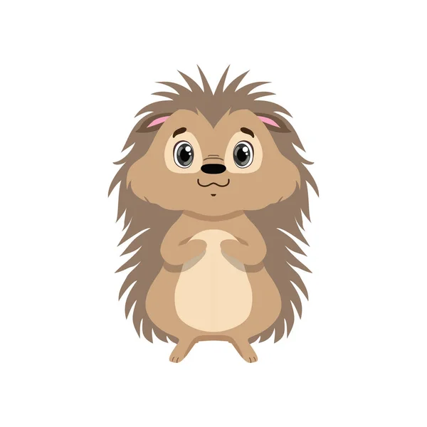 Cute hedgehog, lovely animal cartoon character front view vector Illustration