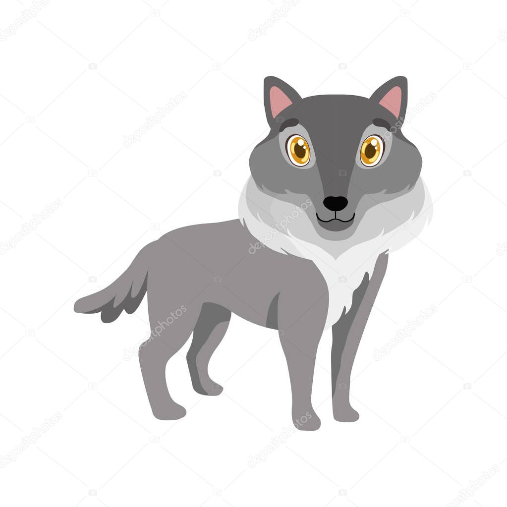 Cute grey wolf, lovely animal cartoon character vector Illustration