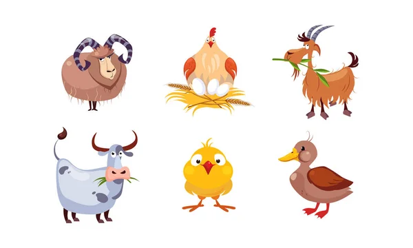 Roztomilý kreslený hospodářská zvířata sada, ovce, slepice, koza, kráva, kachna, vektorové ilustrace — Stockový vektor