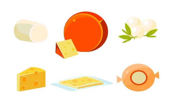 Delicioso surtido de queso fresco, varios tipos de productos frescos de queso vector Ilustración — Vector de stock