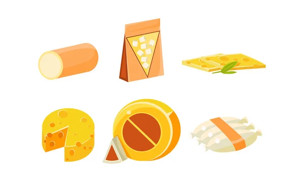 Sbírka sortiment sýrů, různé druhy sýrů vektorové ilustrace — Stockový vektor