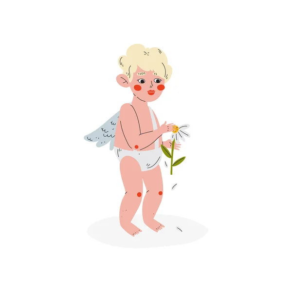 Ładny zabawny Cupid zgadywać o rumianku, Amur Baby Angel, szczęśliwy Valentine Day Symbol wektor ilustracja — Wektor stockowy