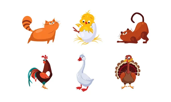 Cute cartoon farm animals and pets set, cats, cock, chicken, turkey, goose vector Illustration