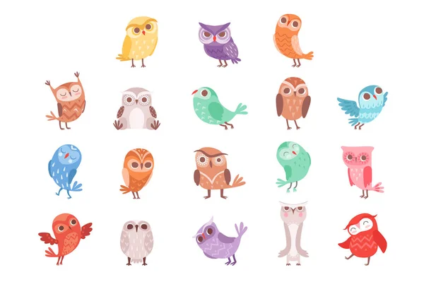 Kreskówka zestaw kolorowe sowy, owlets piękne ilustracje wektorowe — Wektor stockowy