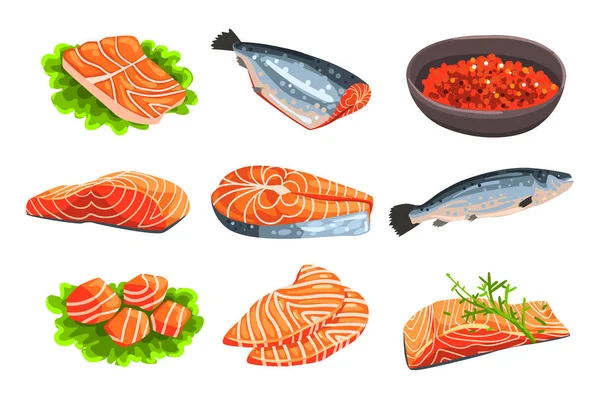 Fresh salmon fish set, fillet, steak and caviar, seafood product vector Illustrations on a white background — Stock Vector