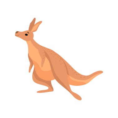 Şirin kahverengi kanguru, Kanguru Avustralya hayvan karakter illüstrasyon vektör