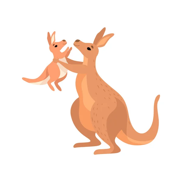 Küçük bebek, sevimli Wallaby Avustralya hayvan karakterine tutan kahverengi kanguru illüstrasyon vektör — Stok Vektör
