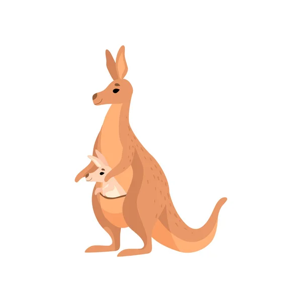 Canguro marrón llevando al bebé en su bolsa, lindo Wallaby madre animal australiana personaje Vector ilustración — Vector de stock