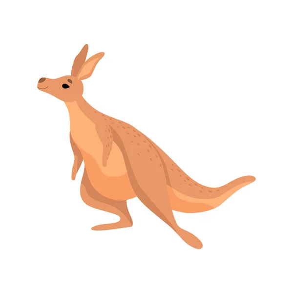 Kangguru Yang Ramah Vector Art Stock Images ページ 3 Depositphotos