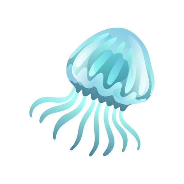 Kwallen, mooie zwemmen mariene onderwater schepsel, gloeiende transparante Medusa vectorillustratie — Stockvector