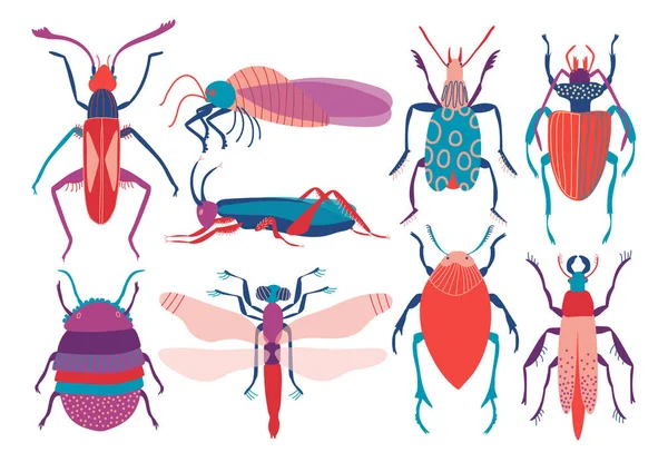 Conjunto de insectos coloridos, mariposa linda, escarabajo, insecto, libélula, ilustración de vectores de vista superior — Vector de stock