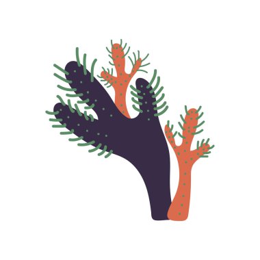 Deniz yosunu, mercan, deniz veya akvaryum su altı bitki vektör çizim