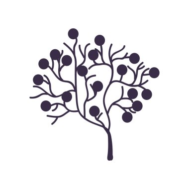 Deniz veya akvaryum doğal deniz yosunu sualtı bitki vektör çizim