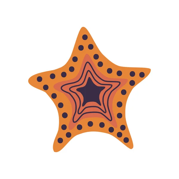 Starfish, Marine or Ocean Creature Vector Illustration — Stock Vector