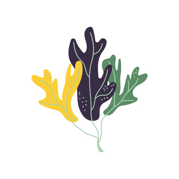 สาหร่ายใต้น้ํา, พืช Aglae ทะเล ภาพเวกเตอร์ — ภาพเวกเตอร์สต็อก