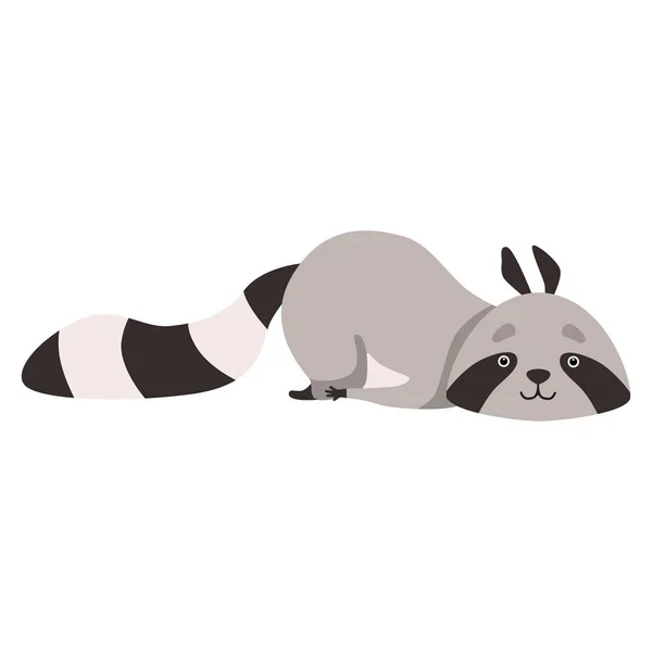 Lindo mapache acostado en el suelo, gracioso humanizado Gris Coon Animal personaje Vector ilustración — Archivo Imágenes Vectoriales