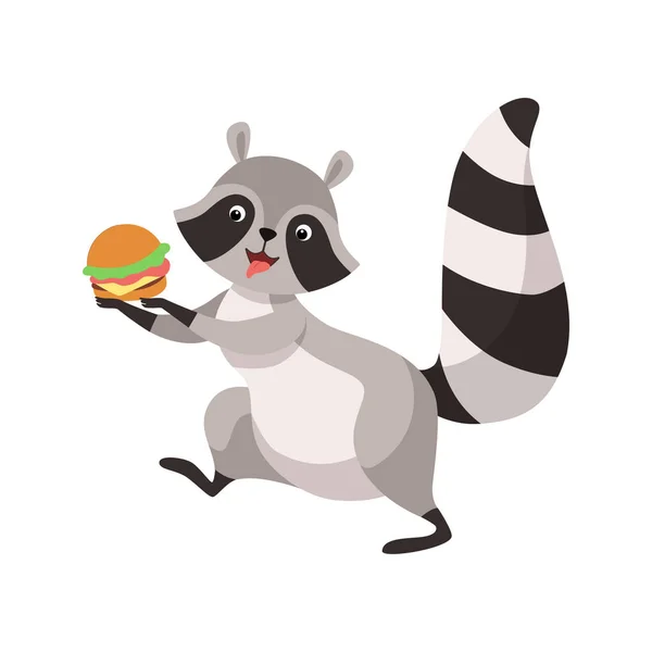 Grazioso procione con hamburger, divertente umanizzato grigio procione animale personaggio mangiare Hamburger vettoriale illustrazione — Vettoriale Stock