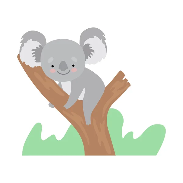 木の枝、面白いグレー動物キャラクターの上に座ってかわいいコアラ ベクトル イラスト — ストックベクタ