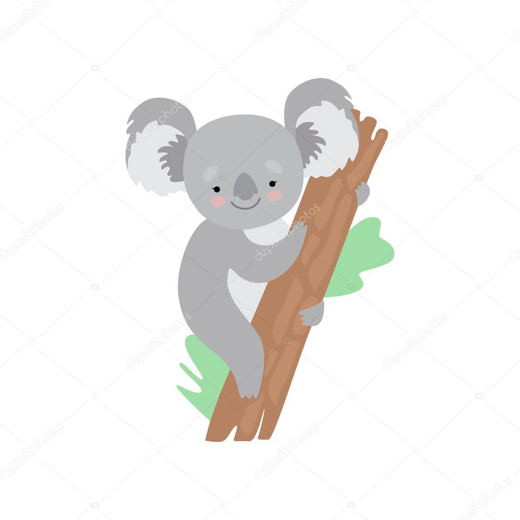 Cute Koala Bear Climbing Tree, Funny Grey Animal Character Vector Illustration