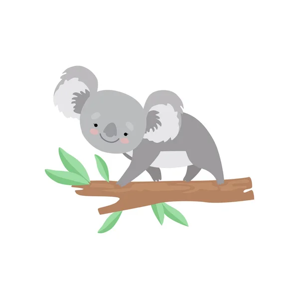 Oso lindo Koala trepando en rama de árbol, encantadora ilustración vectorial de carácter animal gris — Archivo Imágenes Vectoriales